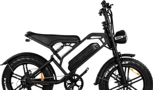 QMwheel V20 fatbike